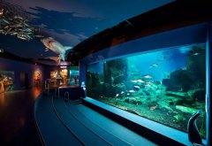 װú³ʪʪҪ߱ЩЧ