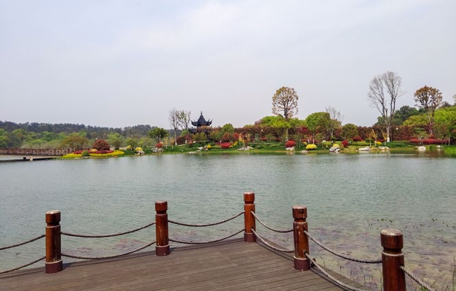 äàÑô»ª¿µ½¡´ïÑøÉúÈ˹¤ºþ