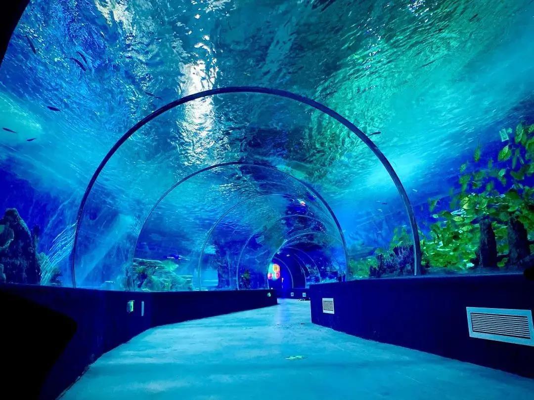 º£Ñó¹Ý,ÓÎÑó¹ÝË®ÖÊ´¦Öóͷ£