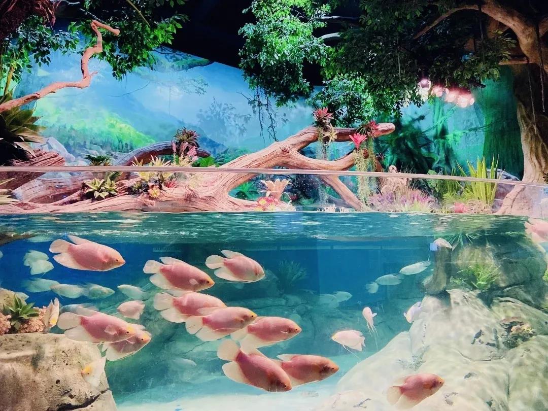 6399²ÊÌìÏÂ(Öйú)¹Ù·½ÍøÕ¾