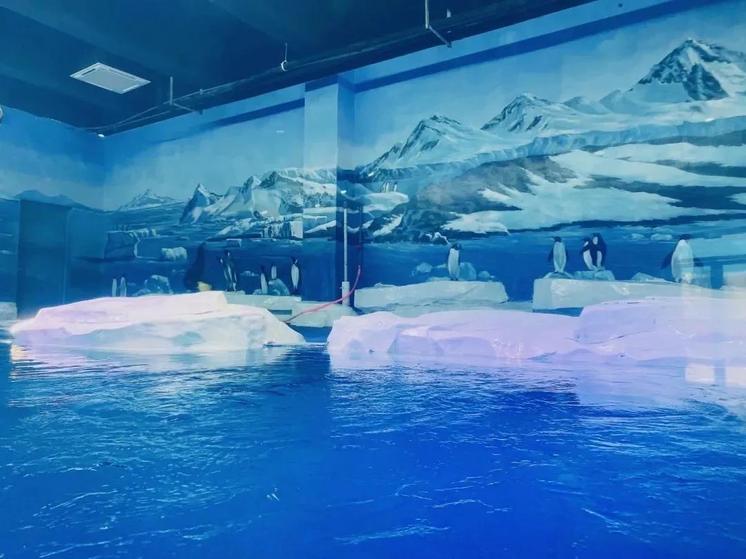 º£Ñó¹Ý,ÓÎÑó¹ÝË®ÖÊ´¦Öóͷ£