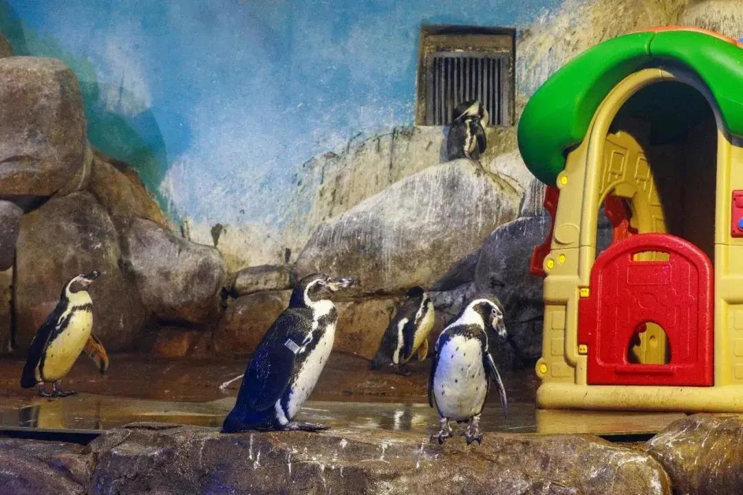 º£Ñó¹Ý,ÓÎÑó¹ÝË®ÖÊ´¦Öóͷ£