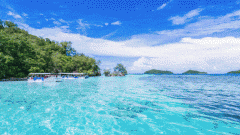 <b>ʲôѡСӾ</b>