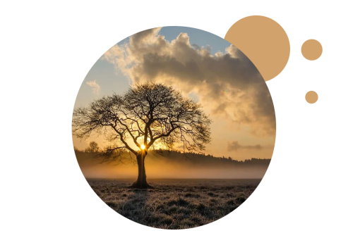 1594973497133415.png 芬兰浴