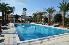 <b>Ӿˮóͷҩ༰</b>