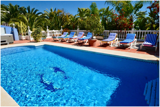 쿵ӾЩӾ֪ʶҪ֪