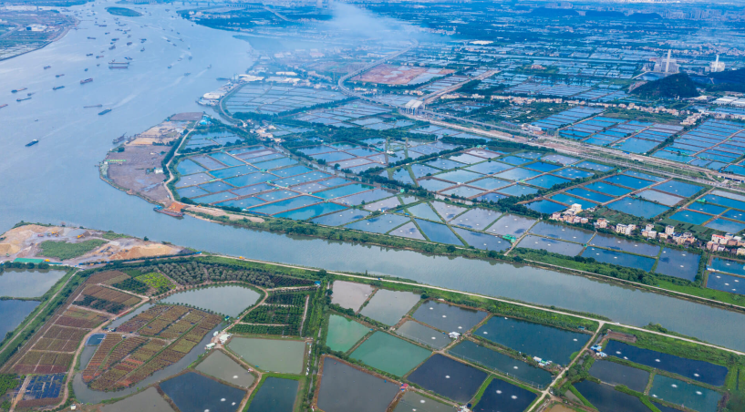 βˮƪ˼Ϊɫҵֳأ