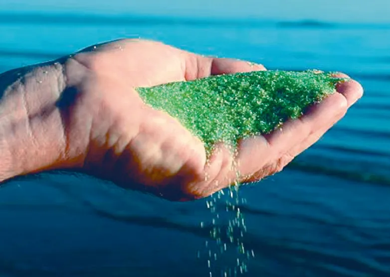 ˮóͷϵͳ,ˮóͷϵͳˢ,Ӿˢµ