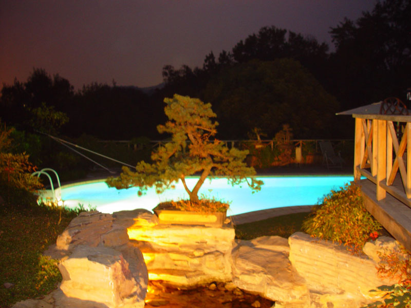 <b>ӾƽŹ⼸Ҫ</b>