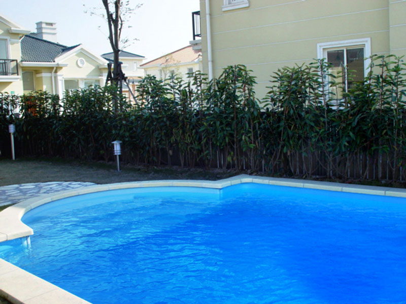 Ӿˮʴóͷ,Ӿˮʴóͷ,ӾˮʴóͷҪ